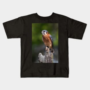 American Kestrel Kids T-Shirt